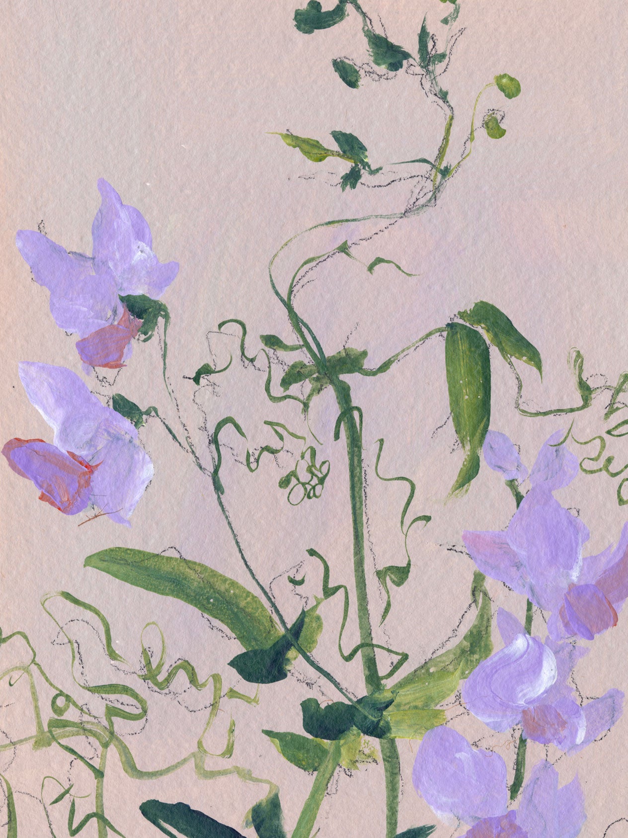 Botanical Daydream No. 20