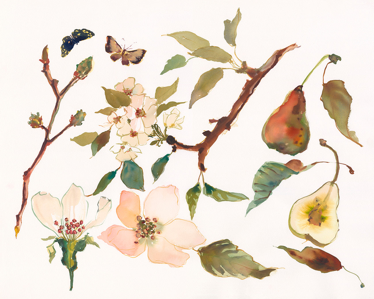 Paris Apartment Botanical No. 14