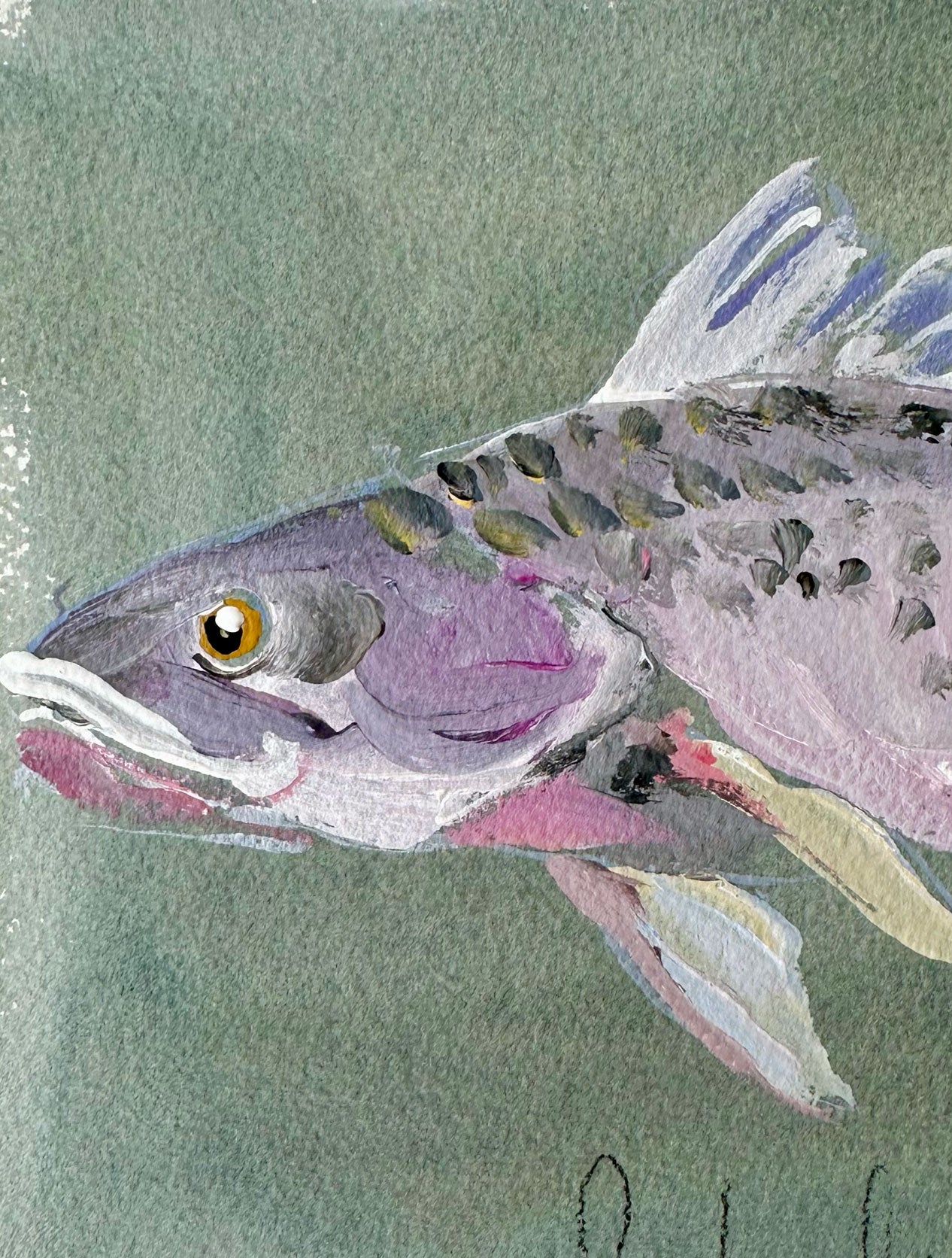 Black Drum
