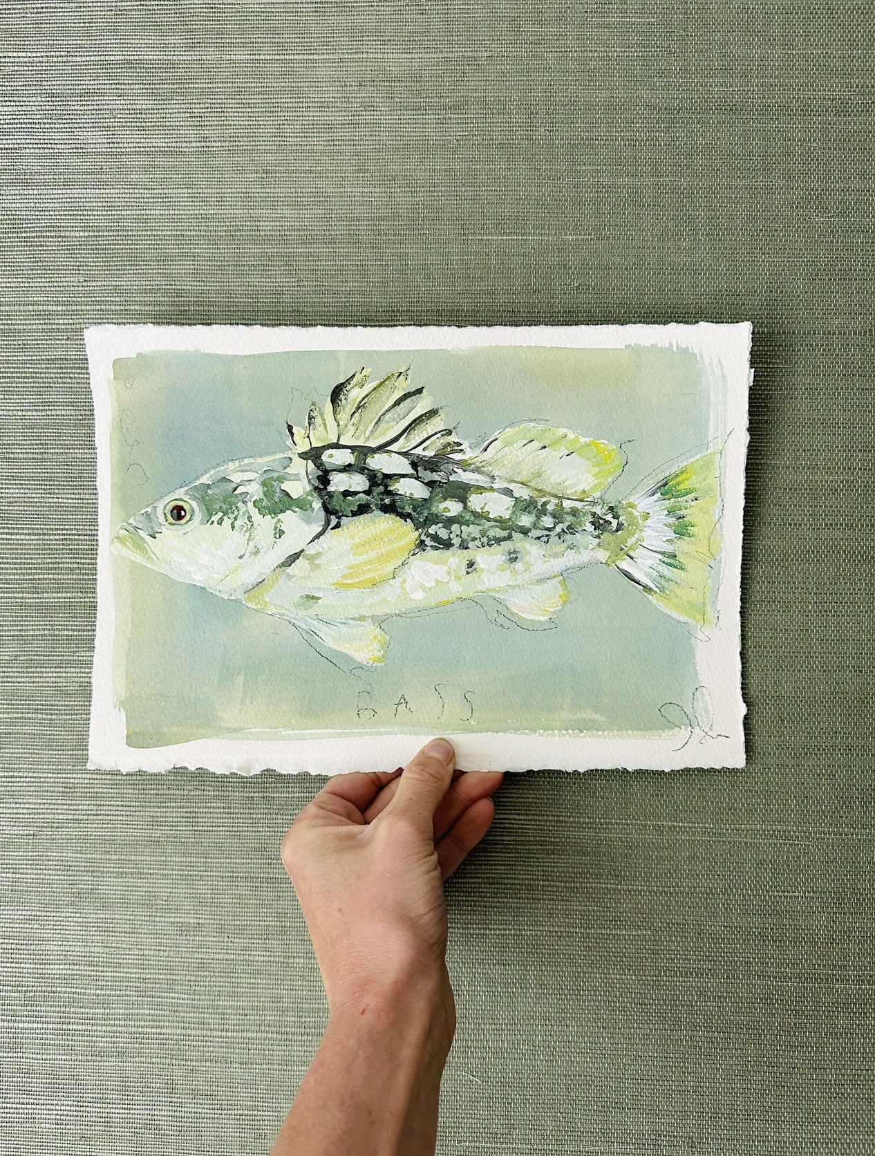 Bass