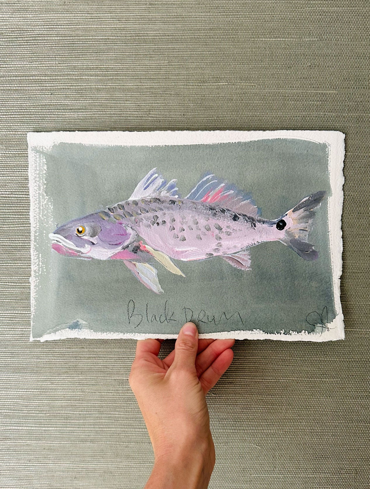 Black Drum