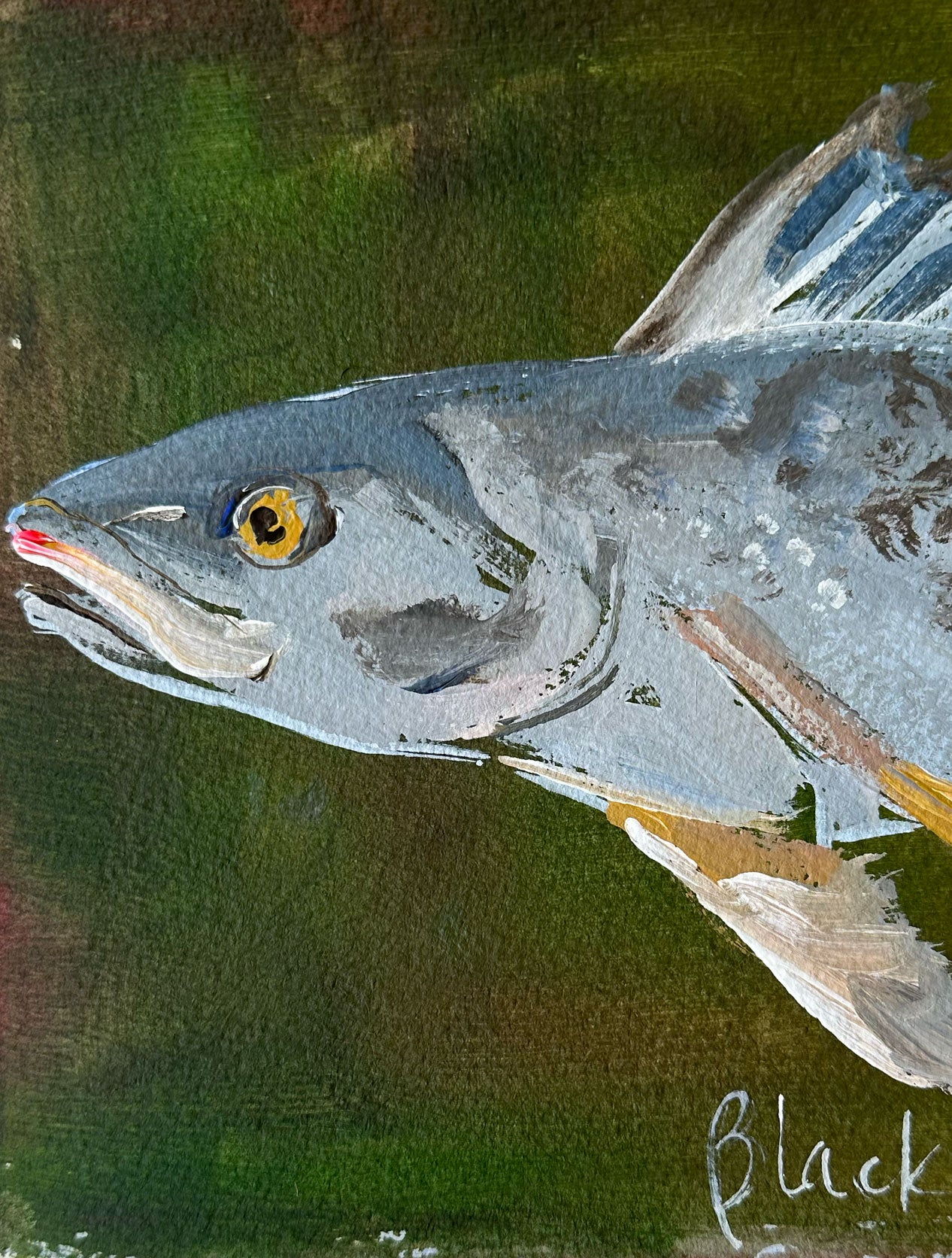 Black Drum on Murky Green