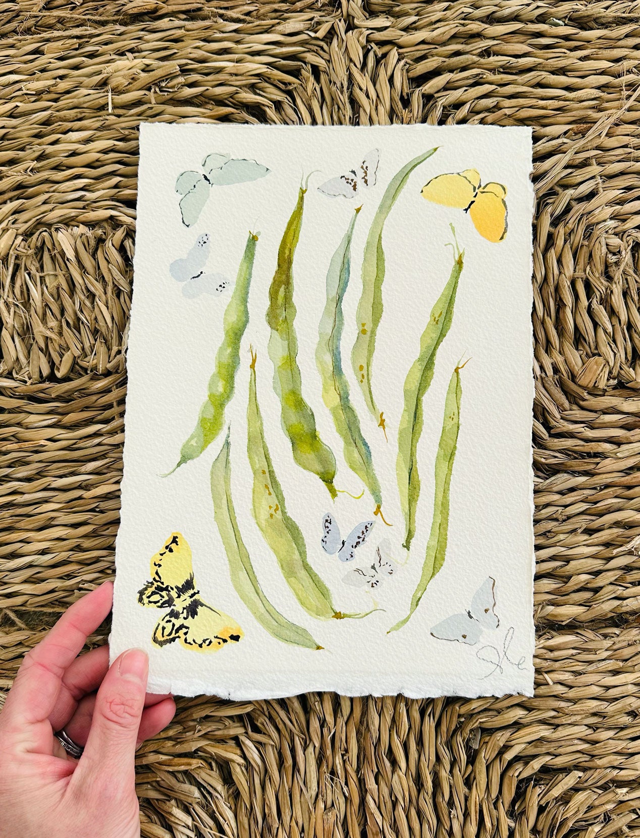 Haricots Verts