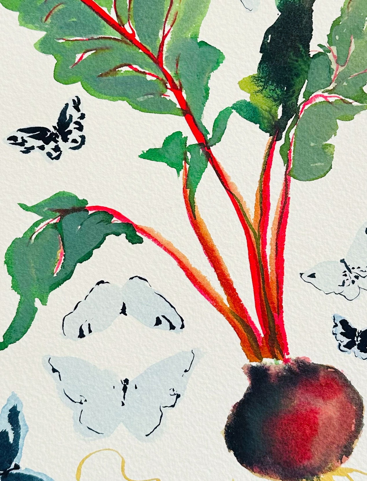 Beets and Butterflies