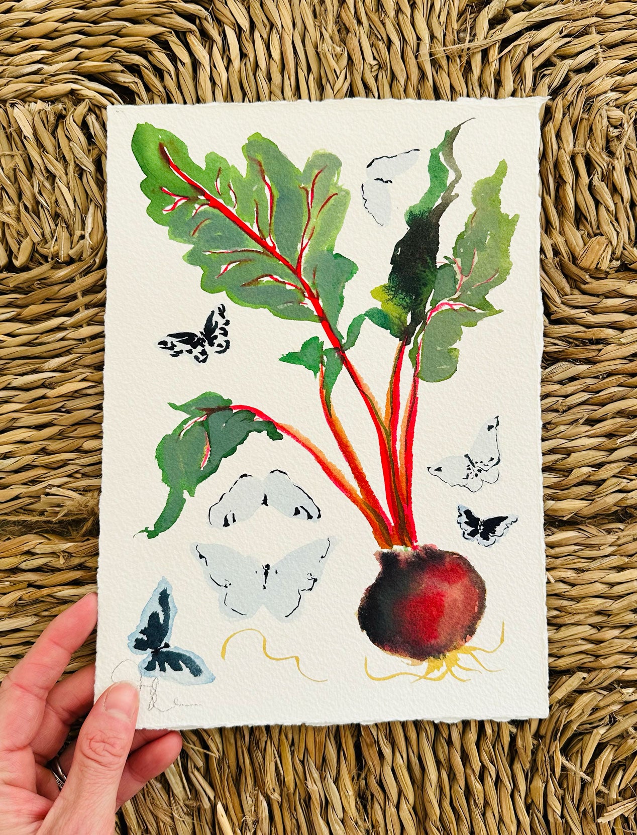 Beets and Butterflies