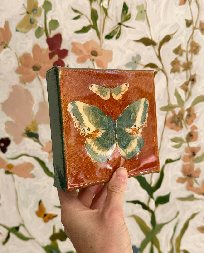 Butterfly Candy No. 3