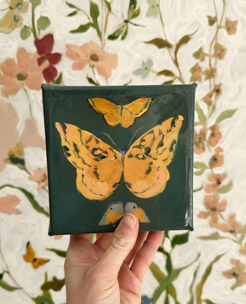 Butterfly Candy No. 2