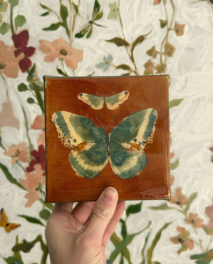 Butterfly Candy No. 3