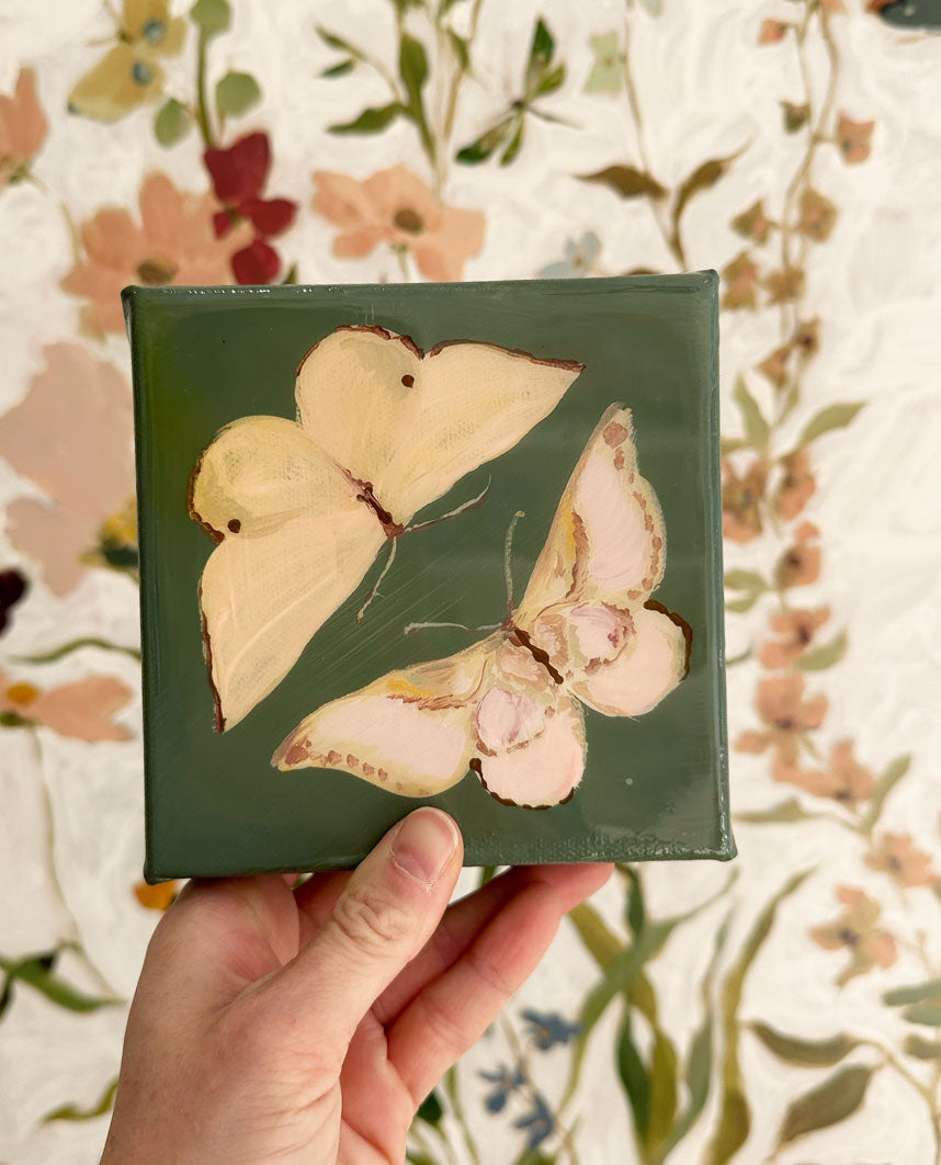 Butterfly Candy No. 7