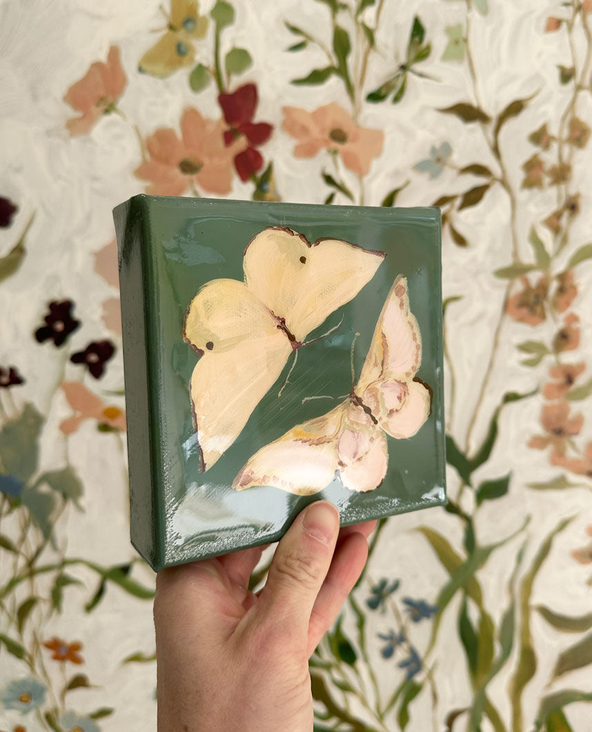 Butterfly Candy No. 7