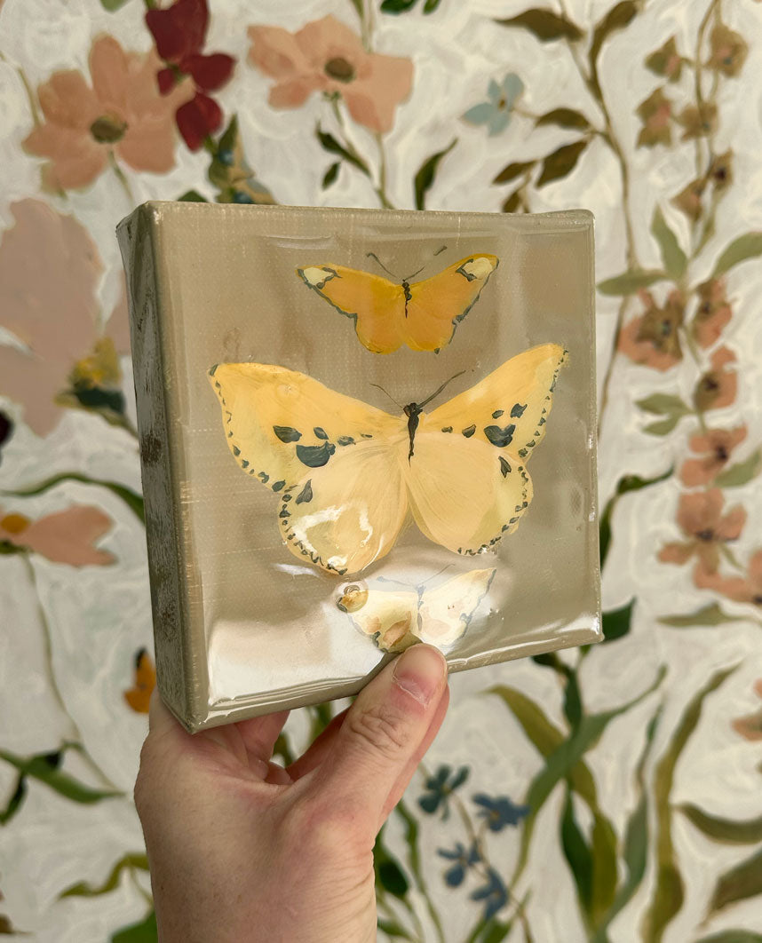 Butterfly Candy No. 6