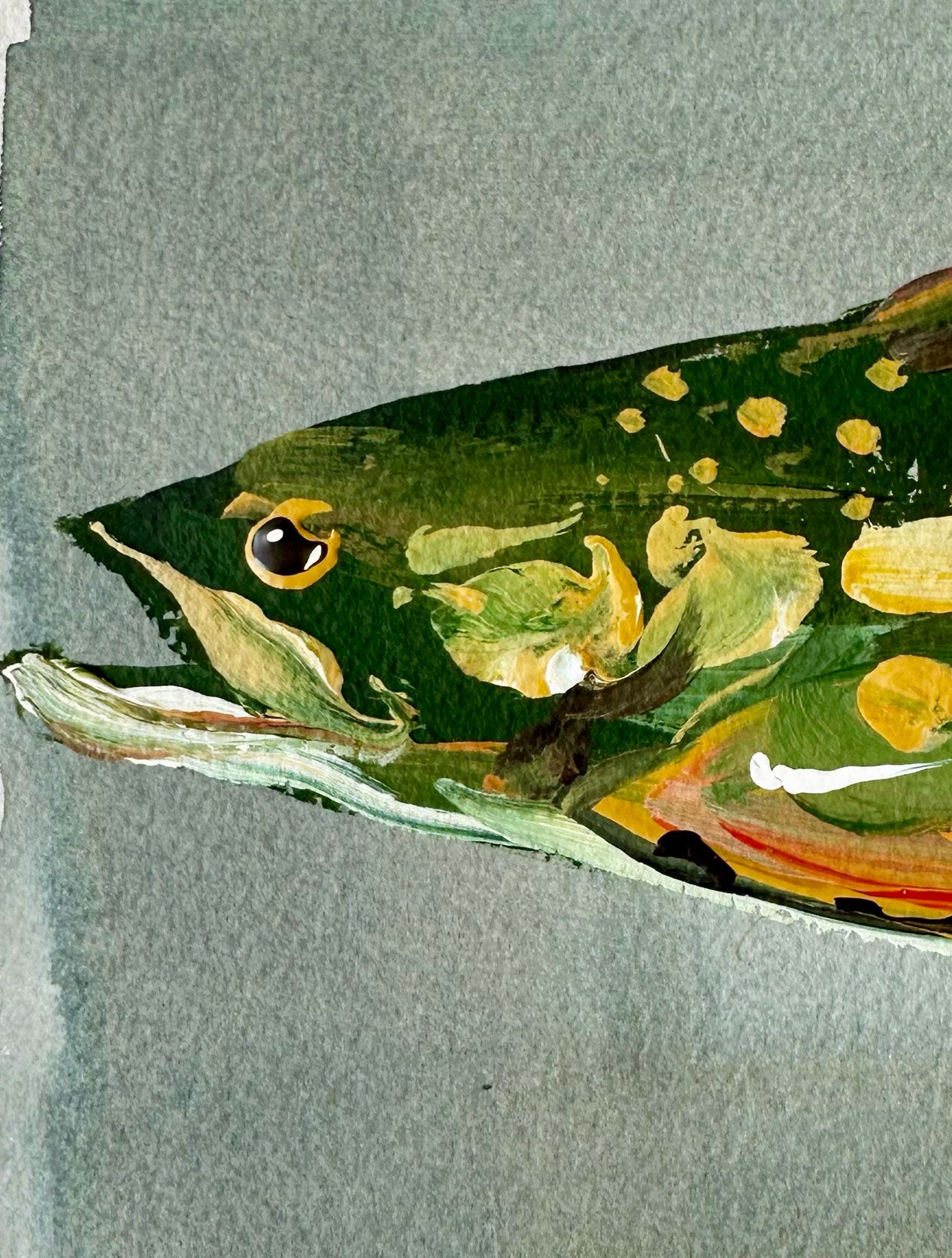 Brook Trout
