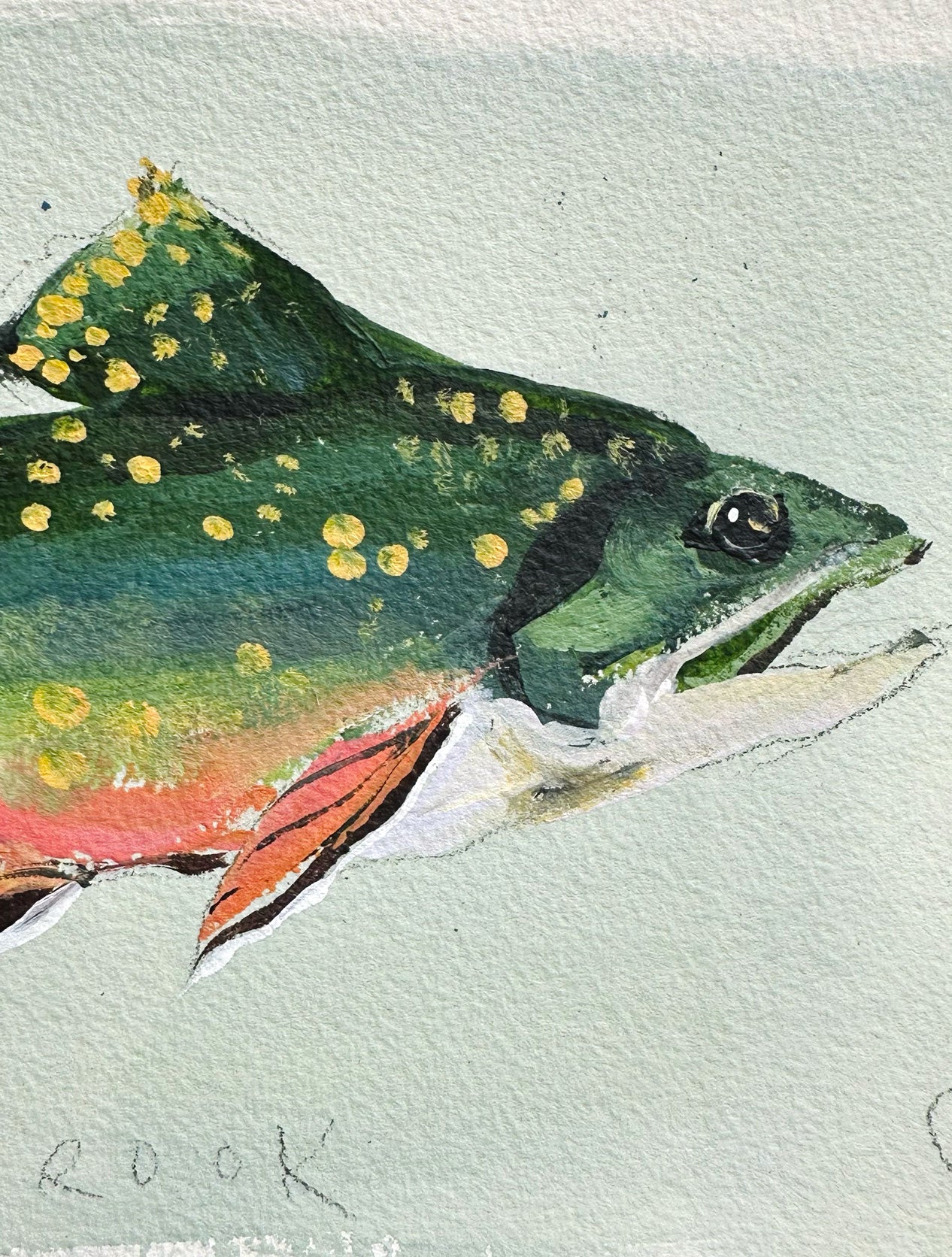 Brook no. 2