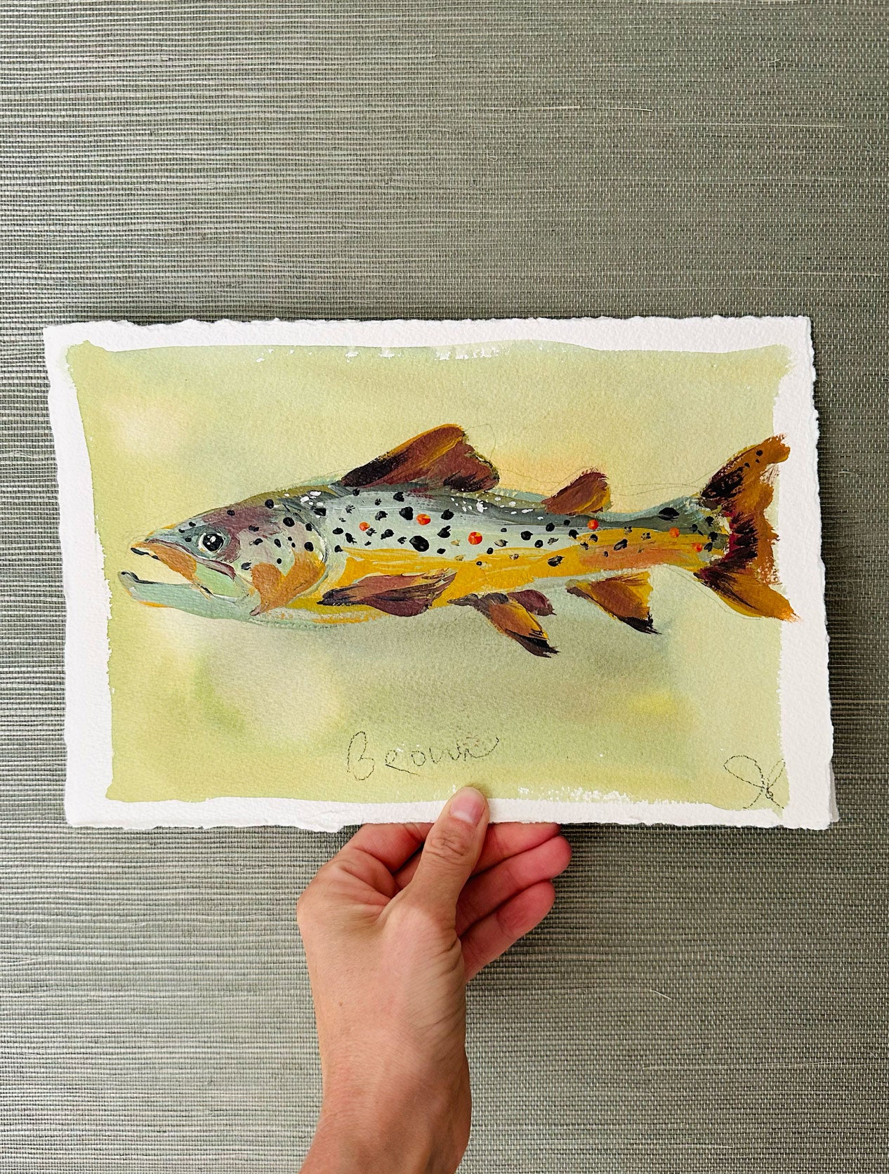 Brown Trout