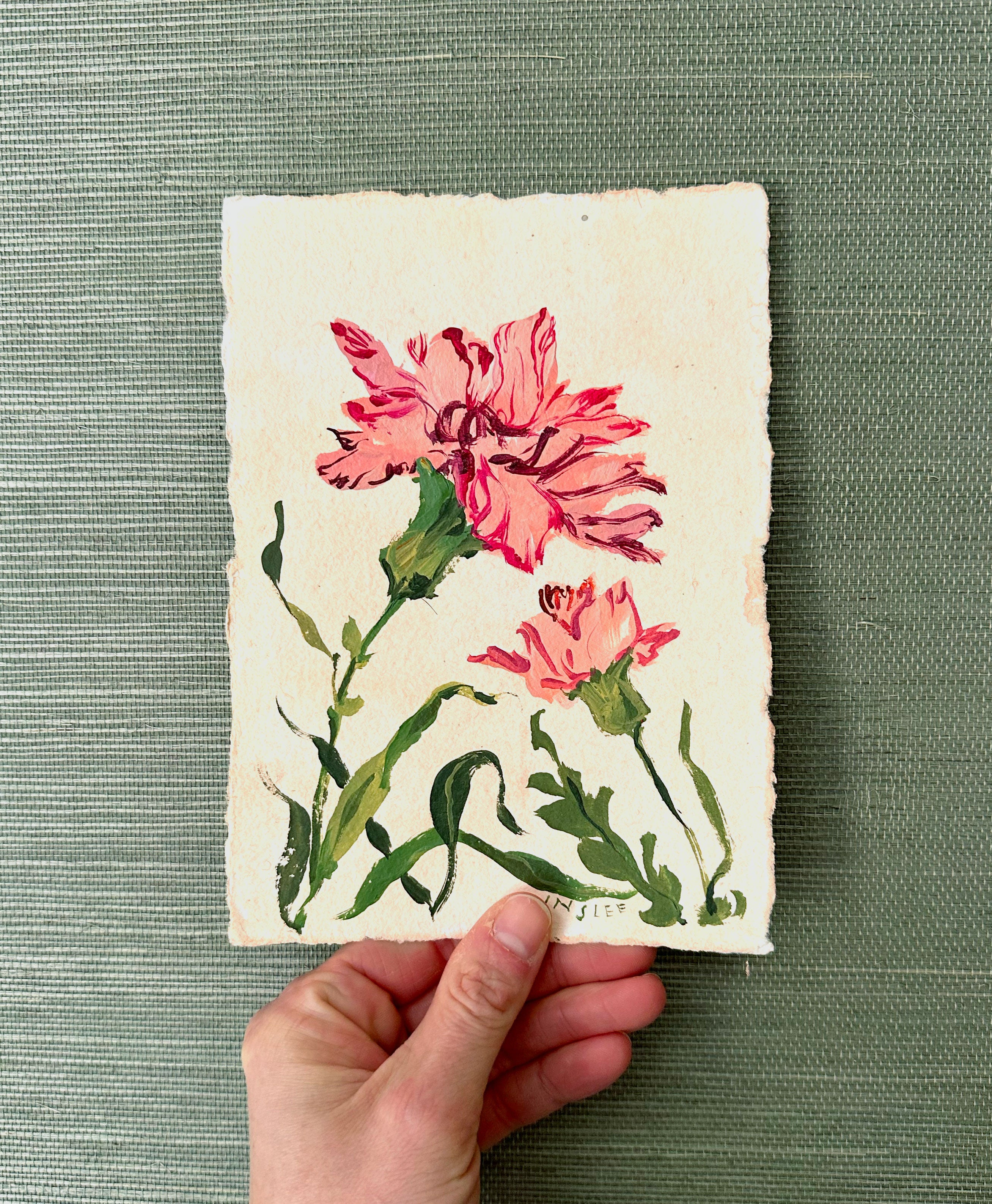 January's Carnation No. 11