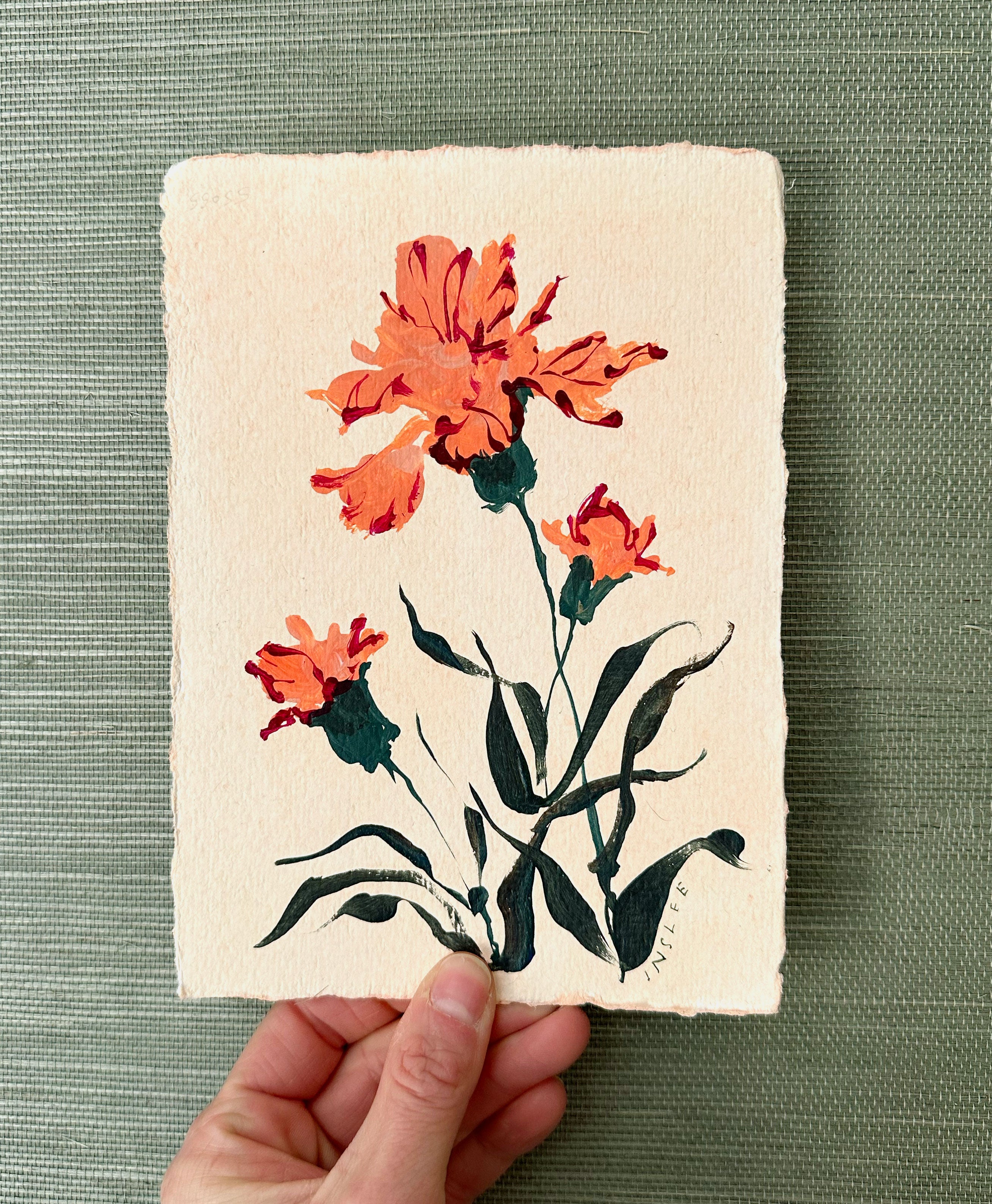 January's Carnation No. 13