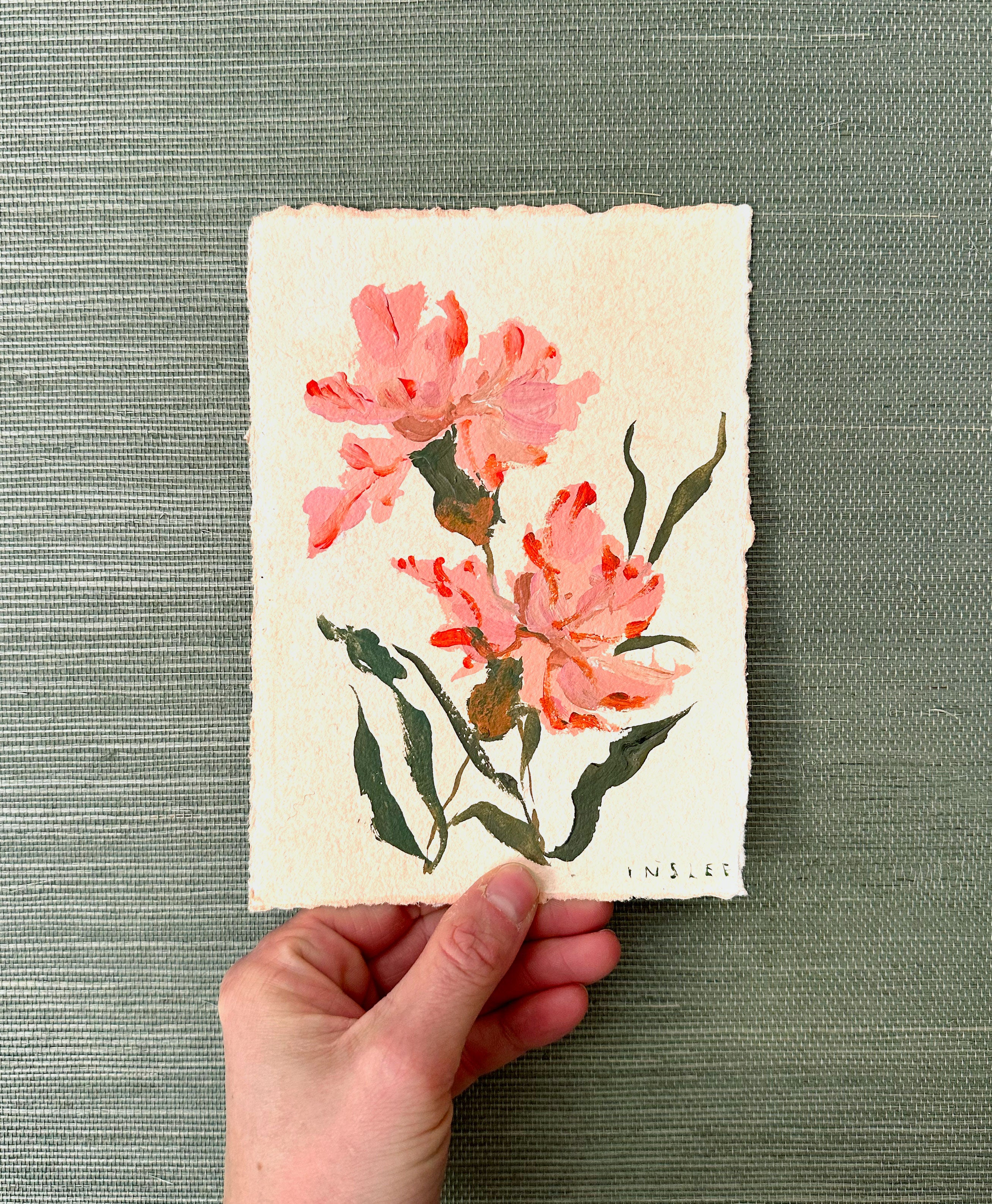 January's Carnation No. 6