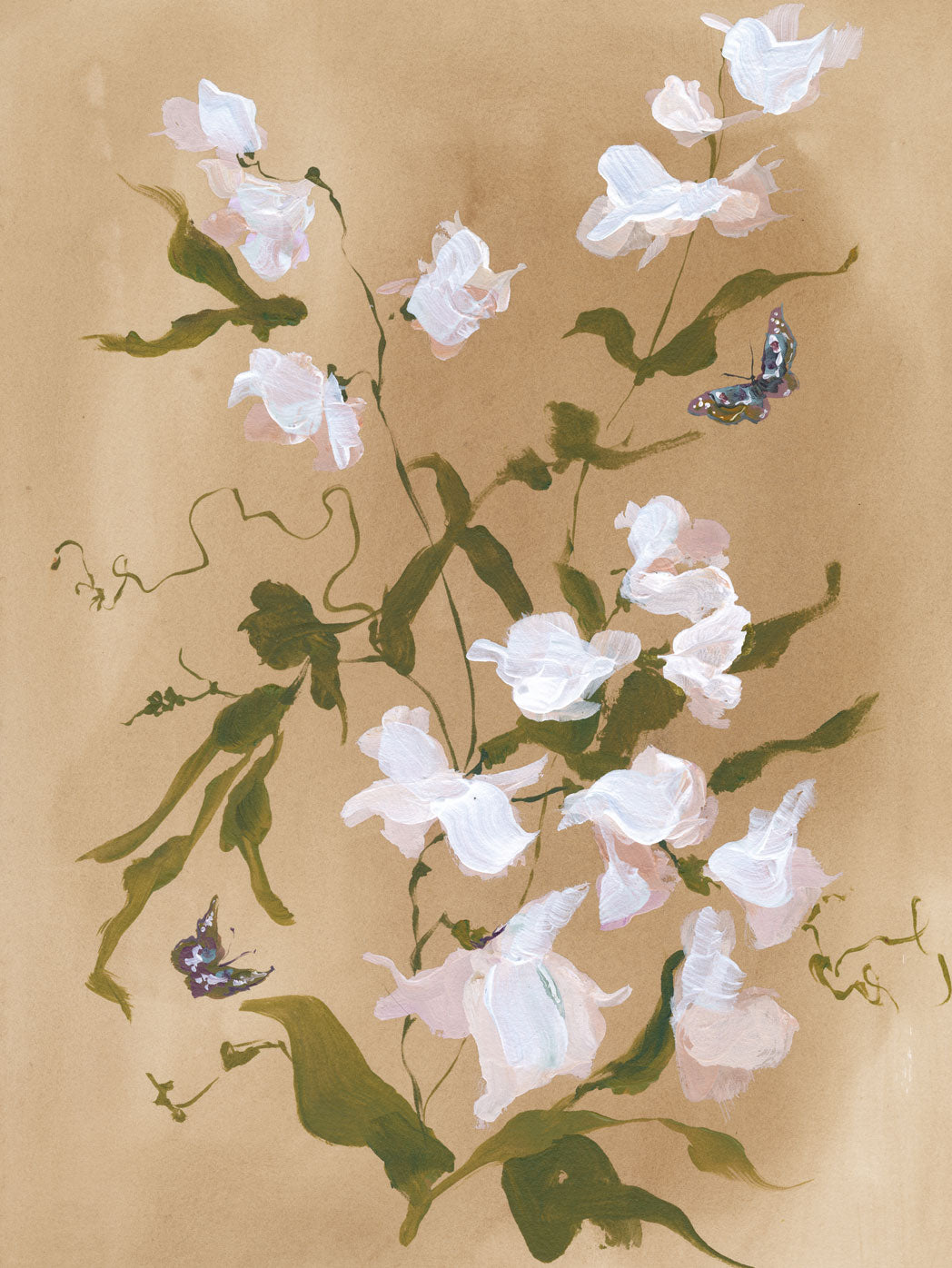 Sweet Pea on Cane