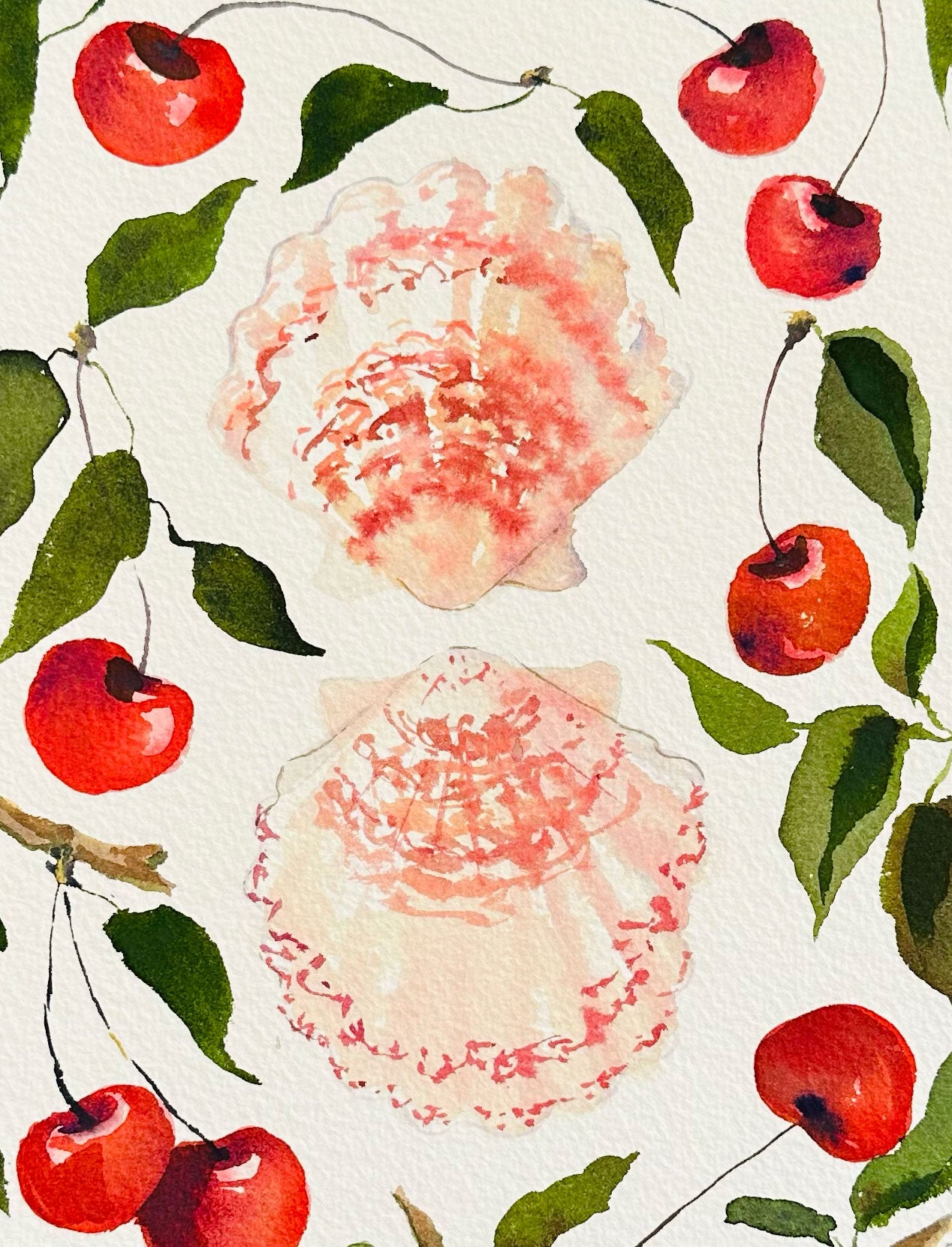 Cherries and Shells
