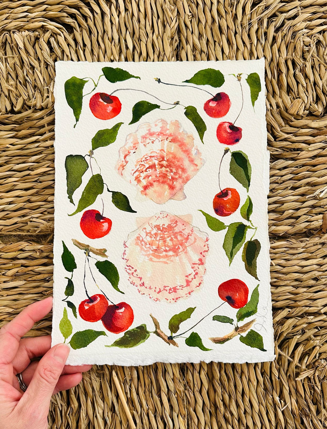 Cherries and Shells