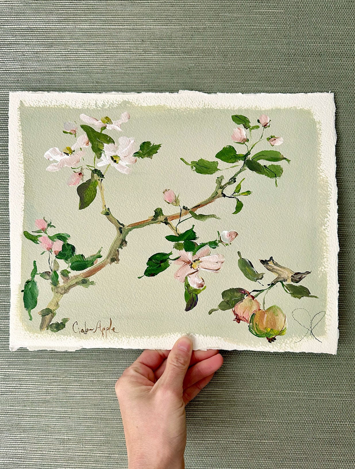Crab Apple: Acrylic on Paper