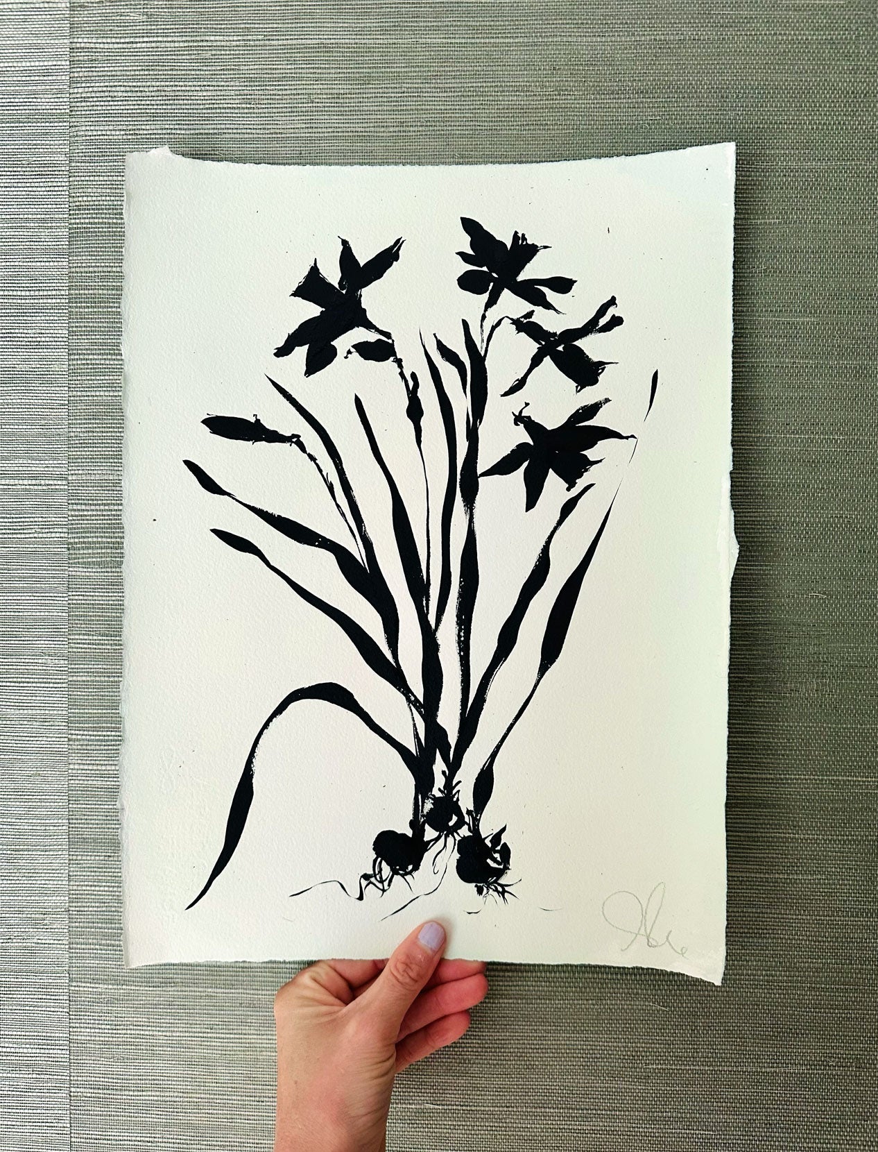 Daffodil Noir