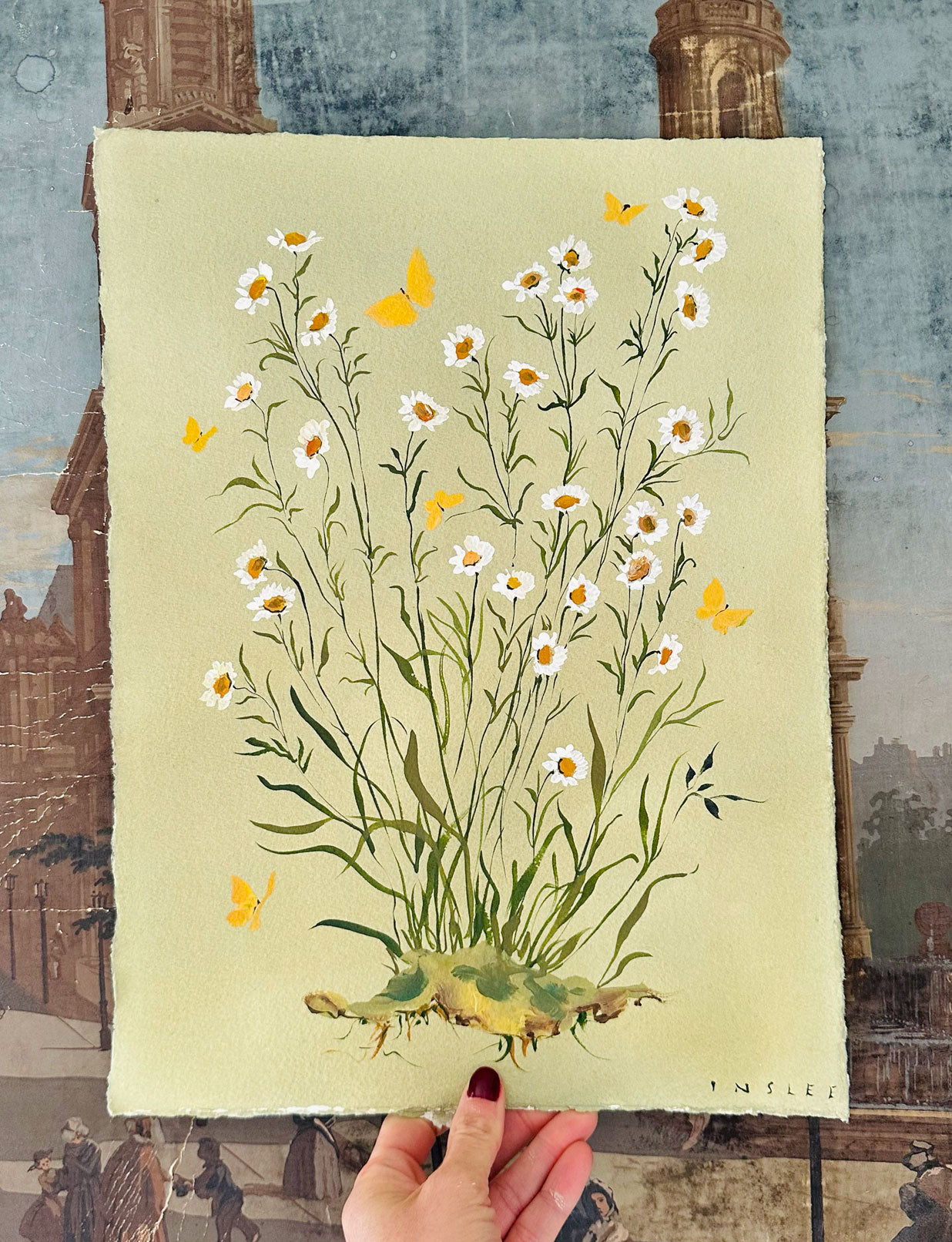 Daisies on Green Tea