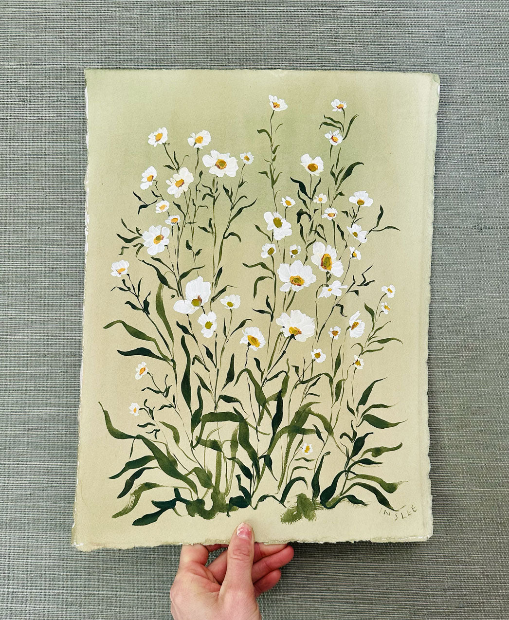 Daisies on Green Tea