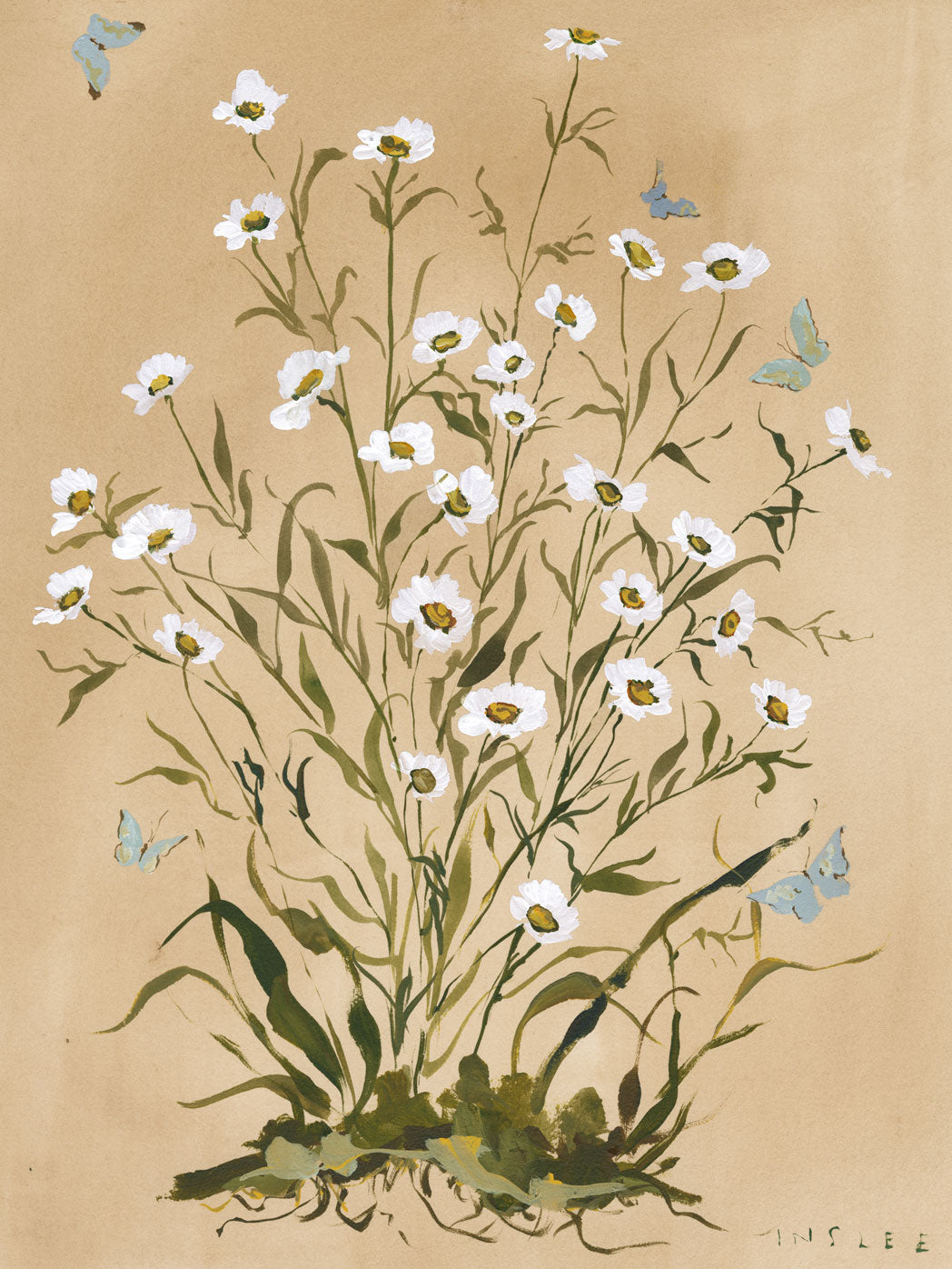 Daisies on Cane