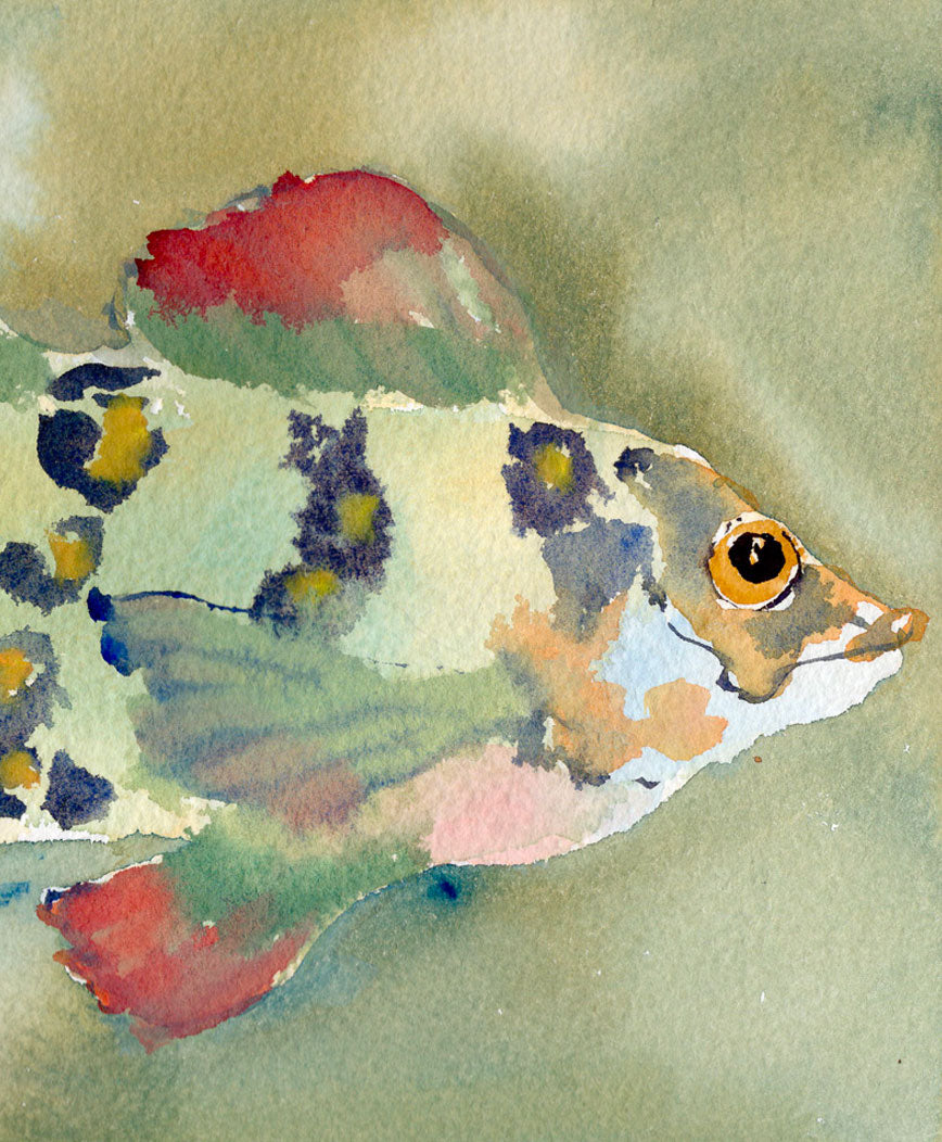 Party Fish No. 1