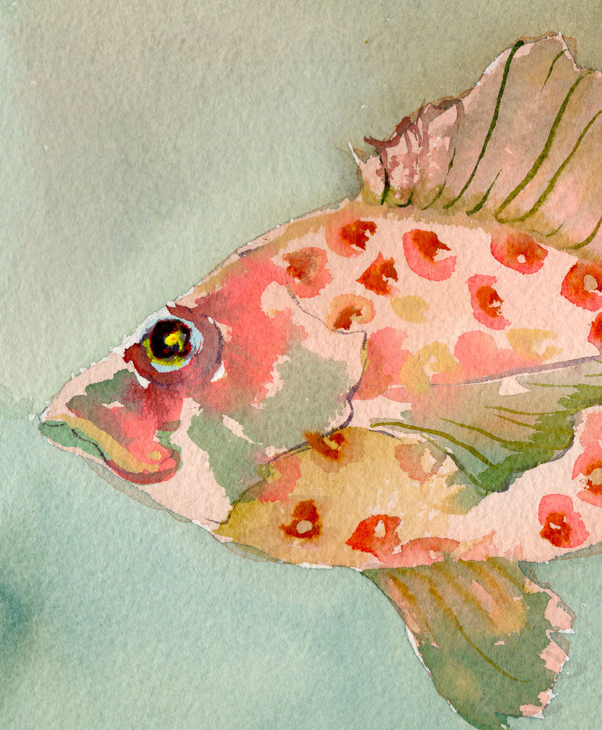 Party Fish No. 6
