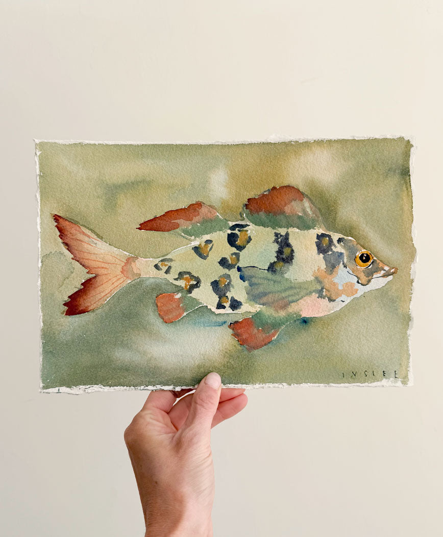 Party Fish No. 1