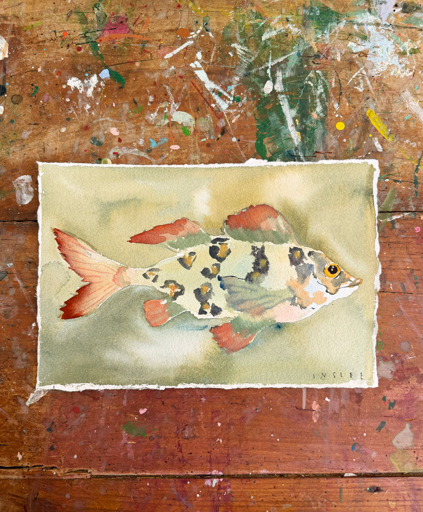 Party Fish No. 1