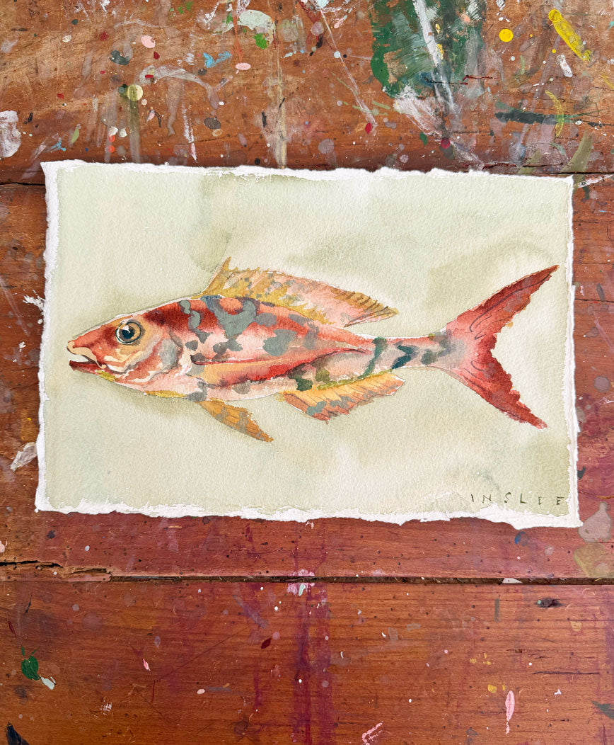 Party Fish No. 7