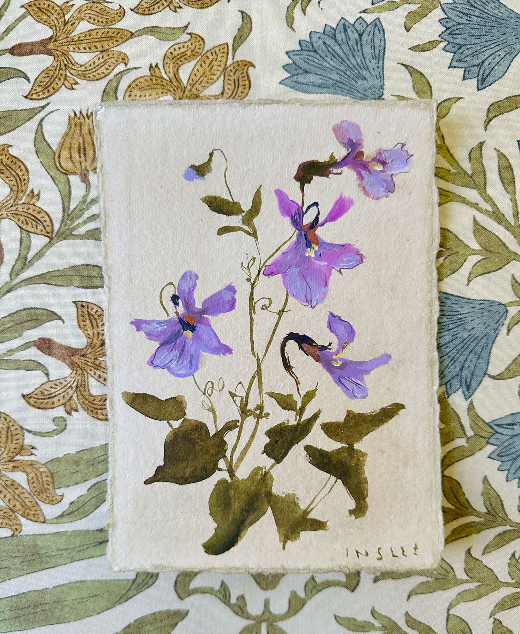 February's Violet No. 11