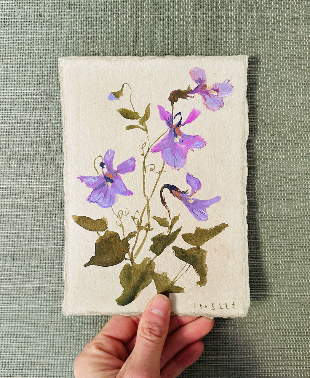 February's Violet No. 11