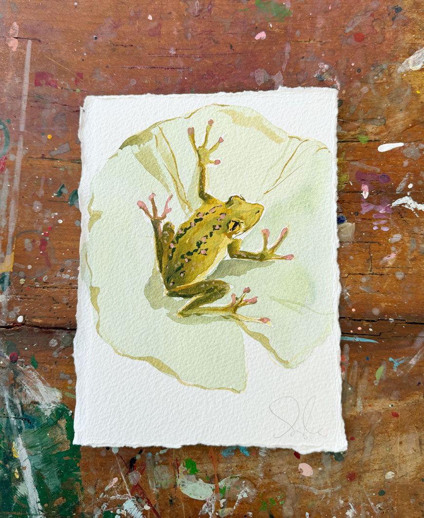 Grenouille No. 13