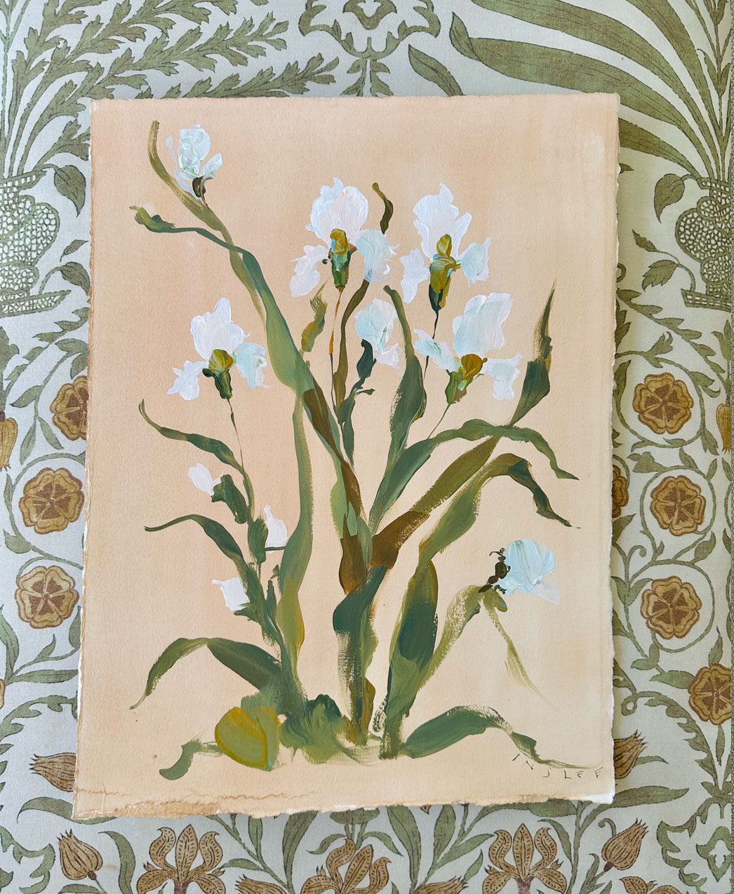Iris on Cane