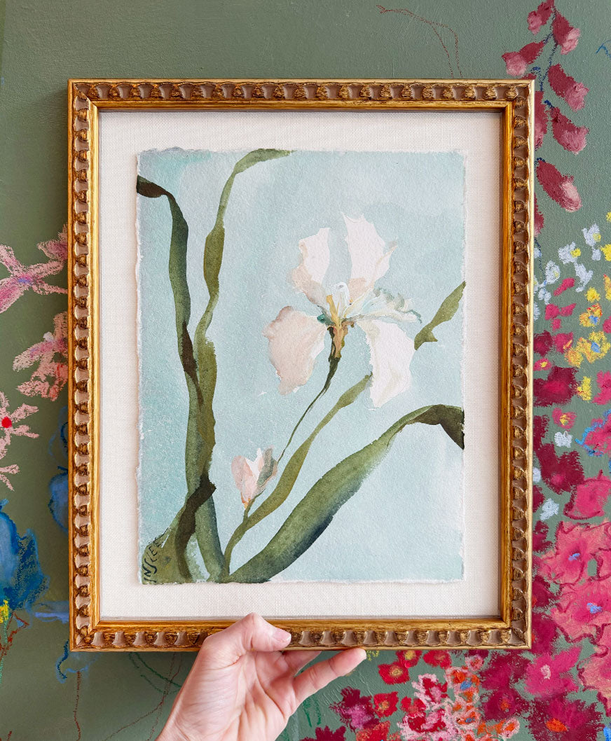 Botanique Blanc, Iris