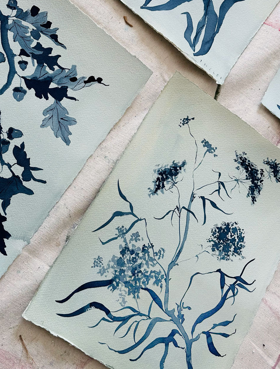 Queen Anne's Lace: Indigo