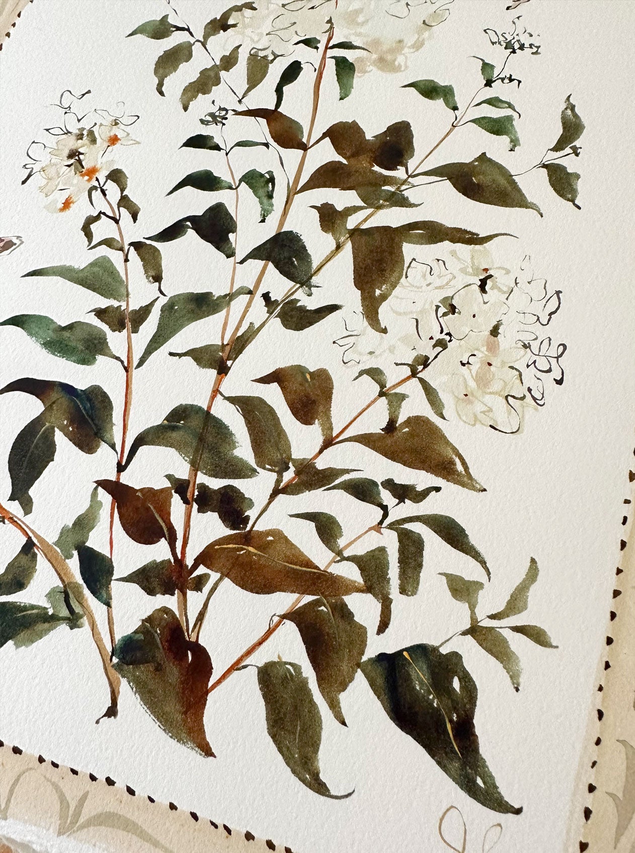 Bordered Botanical: Limelight