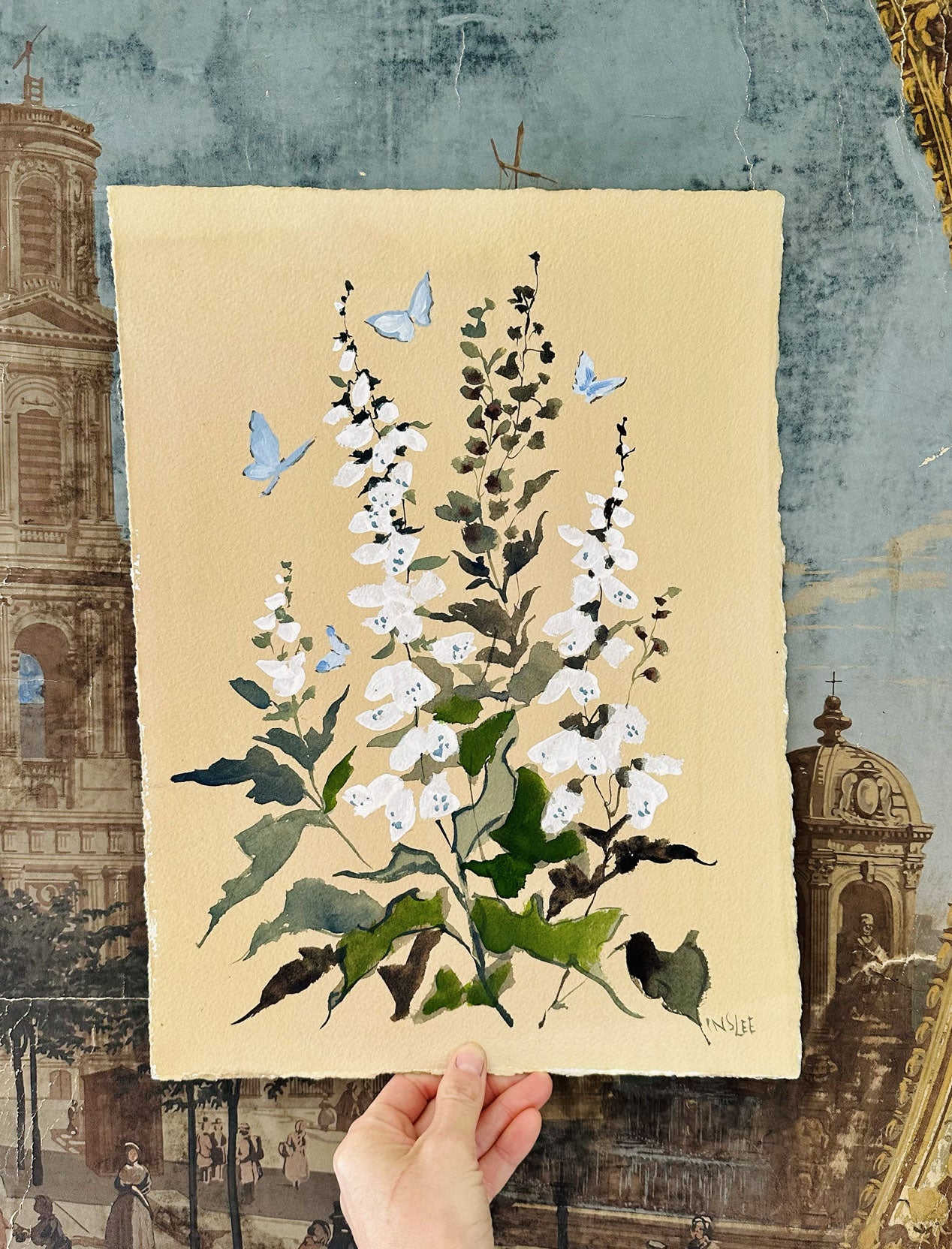 Foxglove - Meringue Series