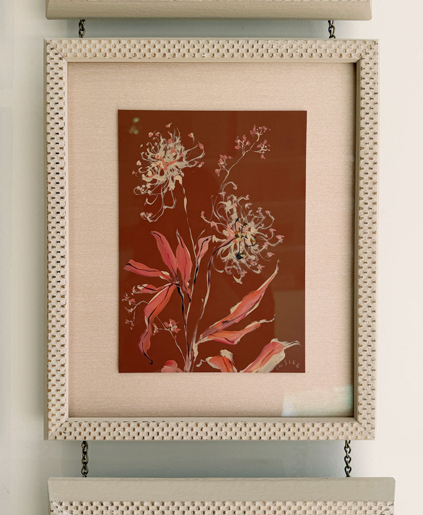 Pressed Meadow Flower, Queen Anne