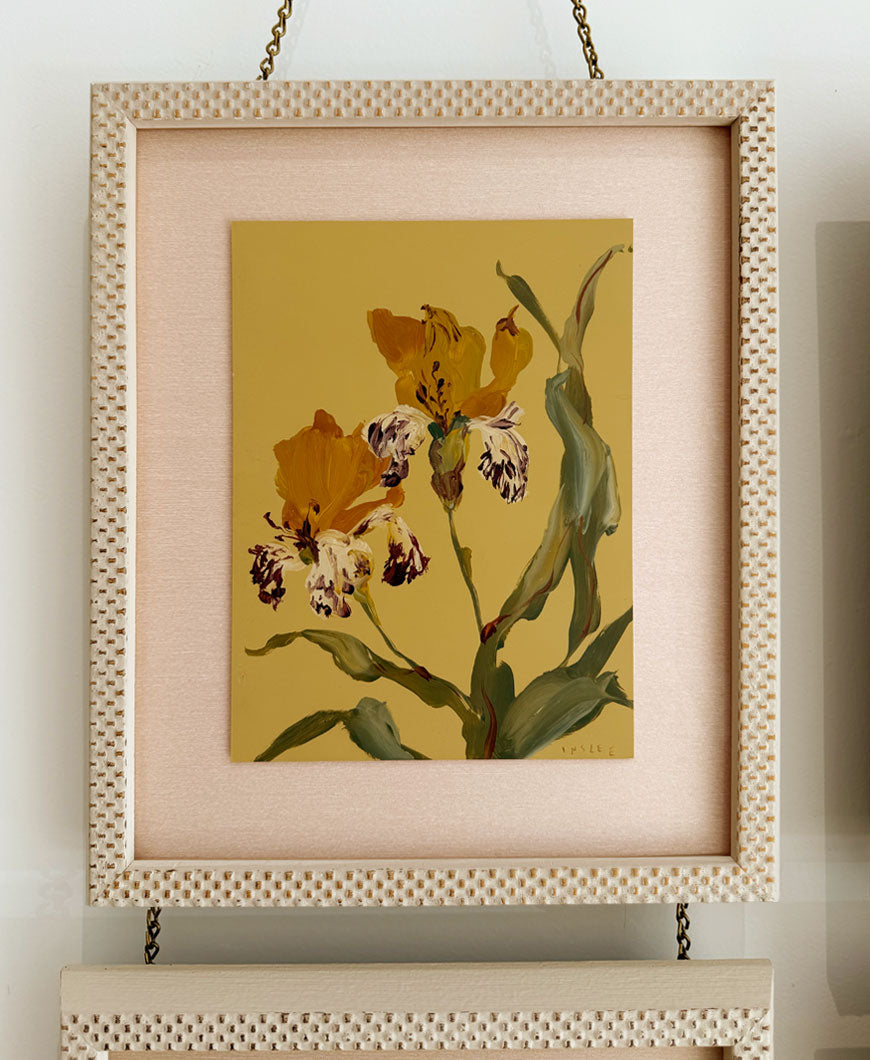 Pressed Meadow Flower, Iris