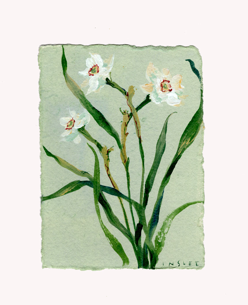 December's Narcissus No. 2
