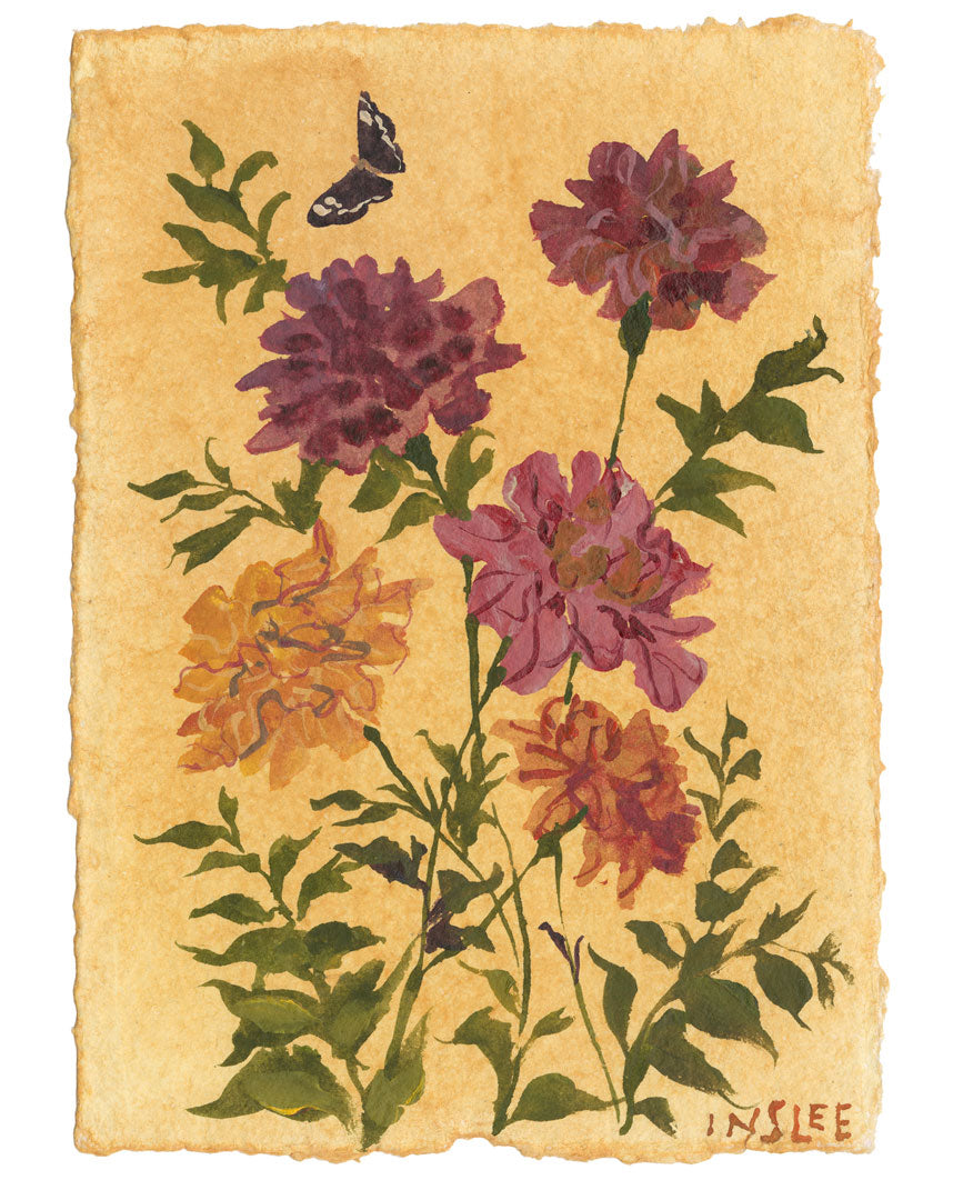 October’s Marigold No. 7