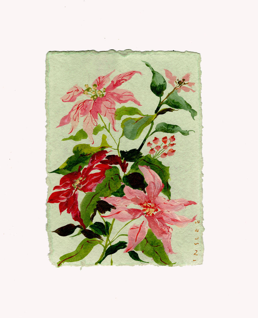 December's Poinsettia No. 14