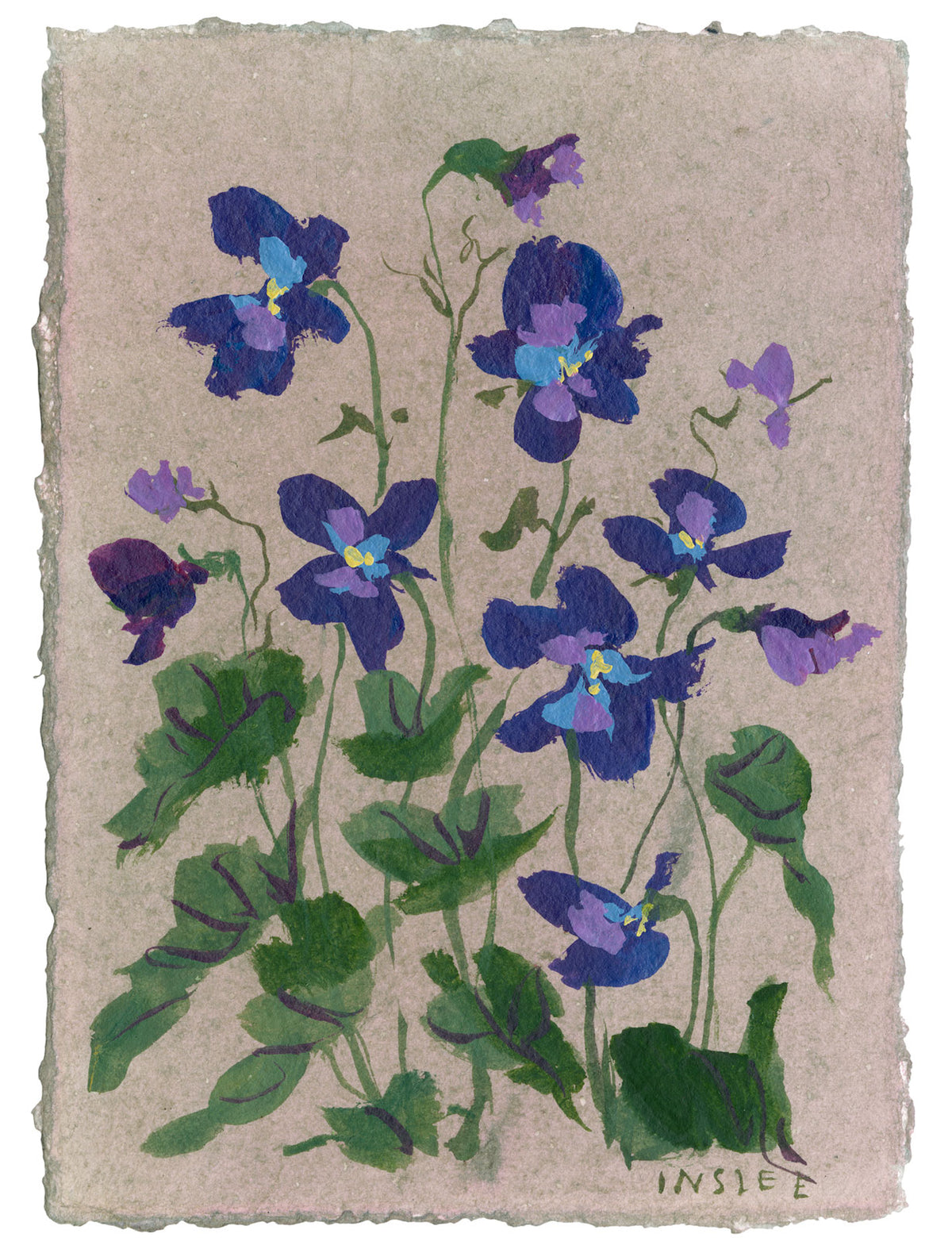Violets for Riley