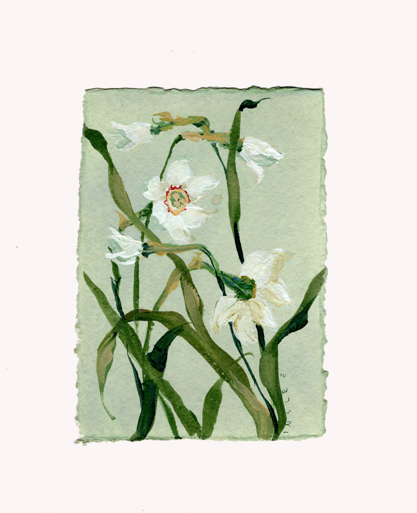 December's Narcissus No. 5