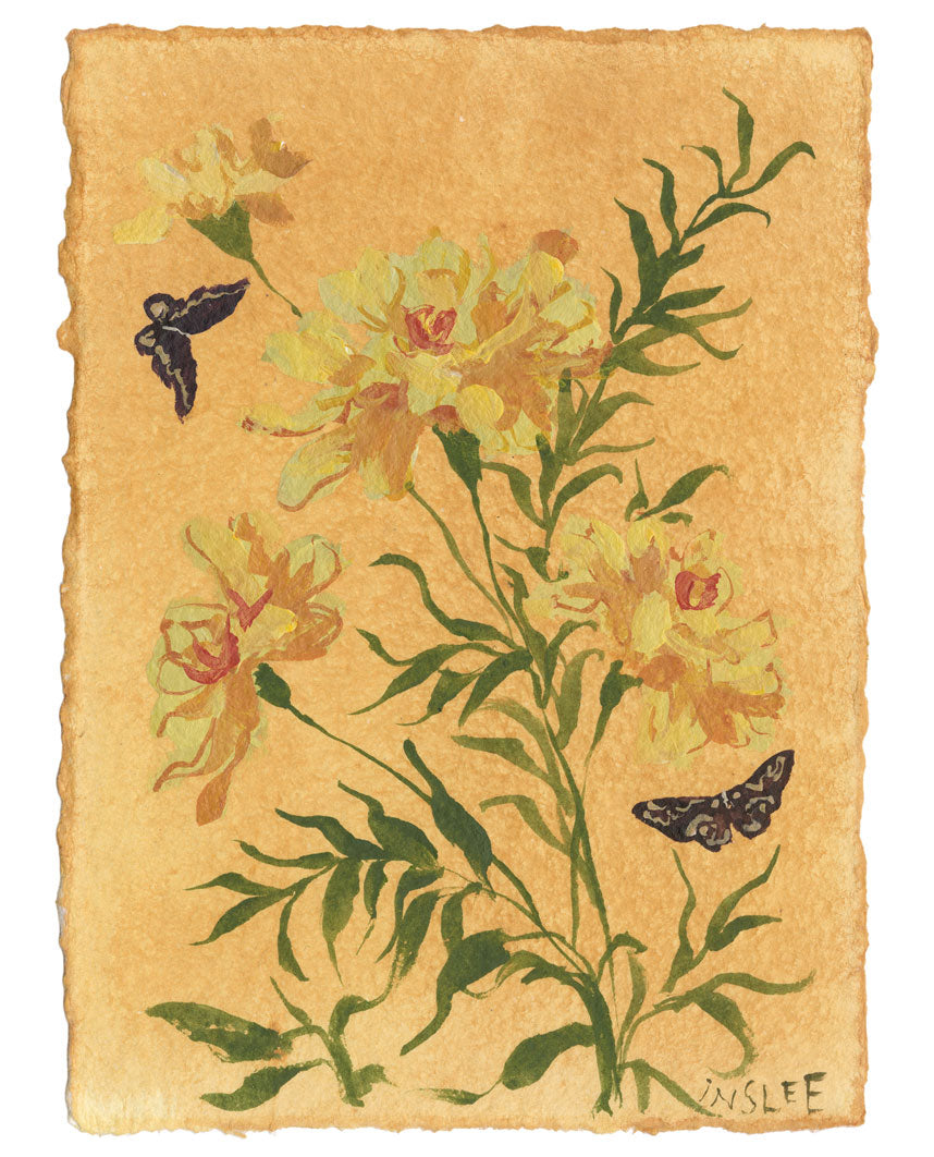 October’s Marigold No. 6